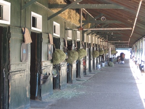 8_2008_Horse Haven Stables_Saratoga Race Course_Bosshart 8_2008_Horse Haven Stables_Saratoga Race Course_Bosshart